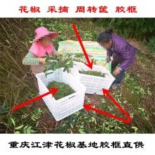 重慶江津花椒筐廠家 花椒筐好多錢一個 花椒筐批發(fā)