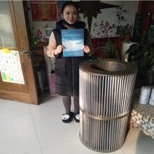 單晶爐自動(dòng)清灰除塵濾筒545X500-律特霍爾