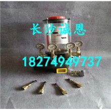 供應(yīng)工程機(jī)械配件，南方路機(jī)HZSD100型攪拌機(jī)4出口4L泵